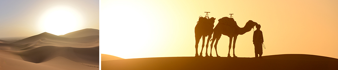 TopBanner