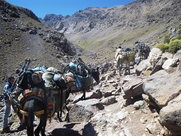 Fottur i High Atlas med topptur til Toubkal
