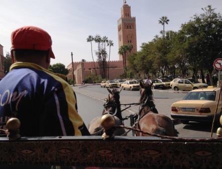 Hestedrosje i Marrakech.JPG